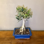 Product image thumbnail