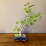 Product image thumbnail