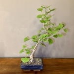 Product image thumbnail