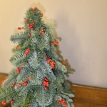 Product image thumbnail