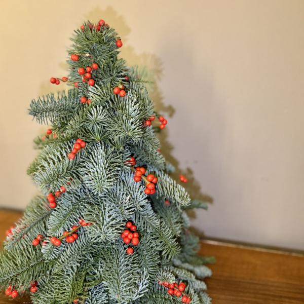 Product image thumbnail