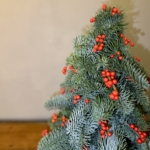 Product image thumbnail