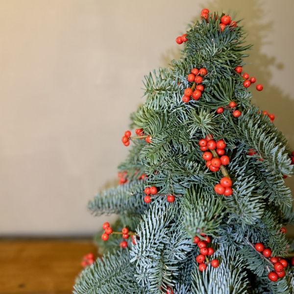 Product image thumbnail