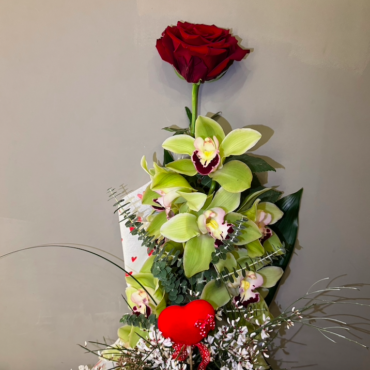 Rosa rossa e Orchidea Cymbidium per San Valentino